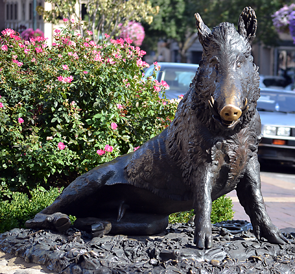 Bronze Boar