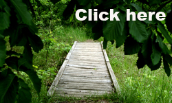Kansas City Area nature centers