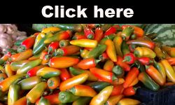 Guide to Kansas City area farmers markets